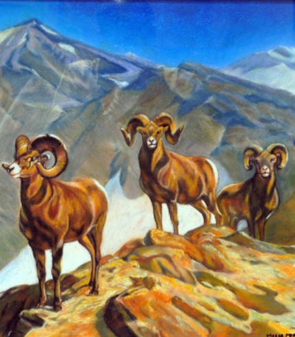Mountain Goats 22 × 28 inches