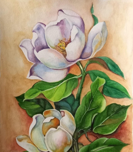 Classic Magnolia 12 × 16 Inches