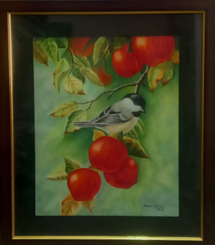 Apples 10 × 12 Inches
